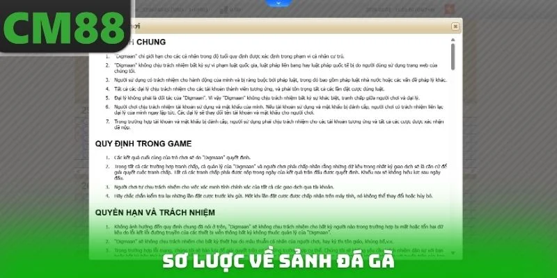 Sơ lược về sảnh đá gà